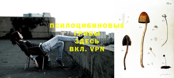 кокс Алексин