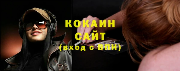 кокс Алексин