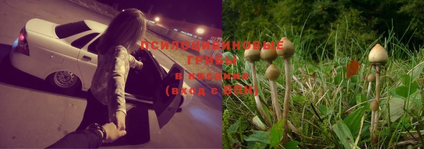 бутират Алексеевка