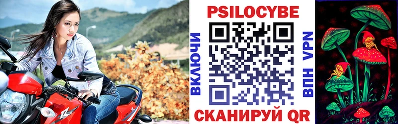 Галлюциногенные грибы MAGIC MUSHROOMS  цена наркотик  Анадырь 